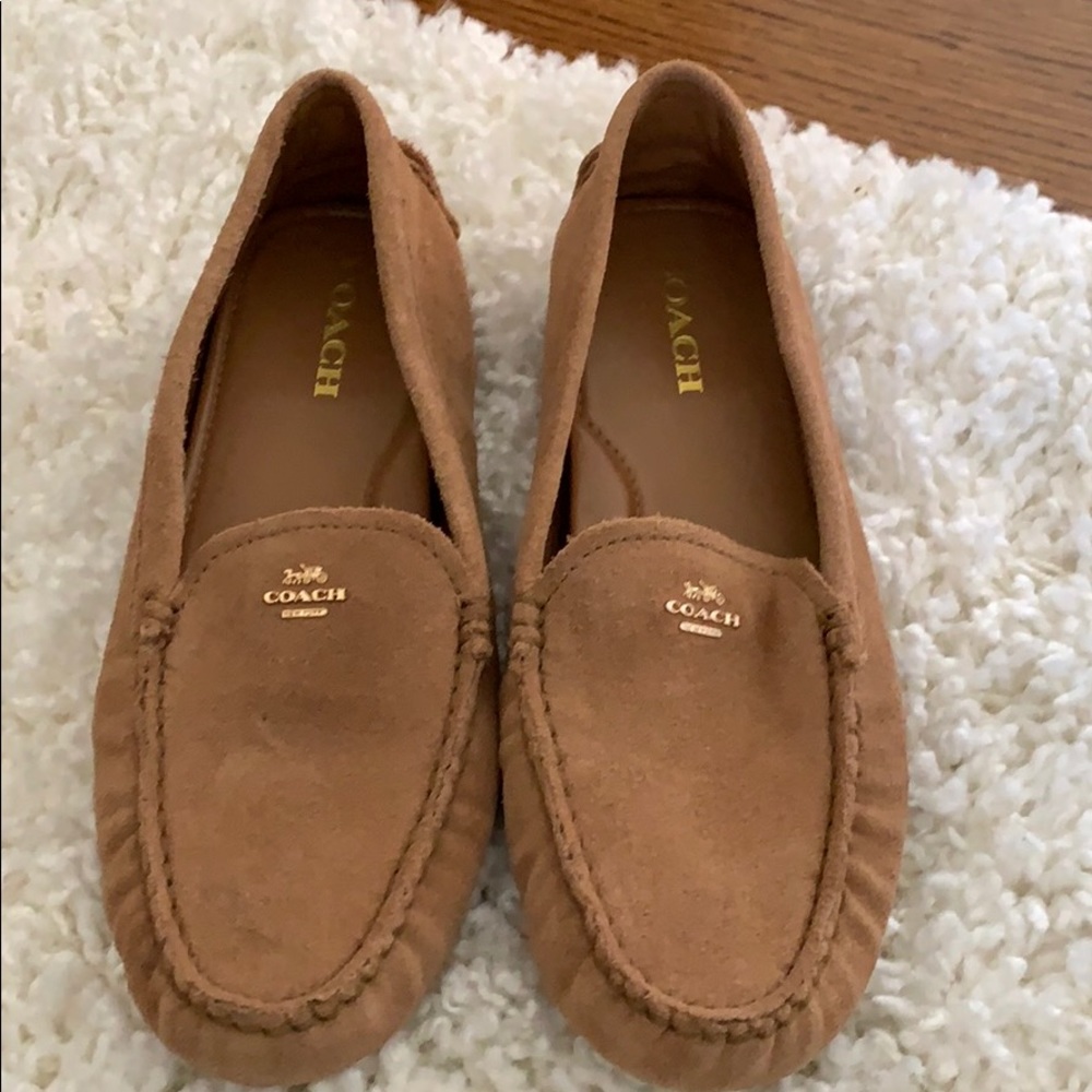 Coach driving shoes